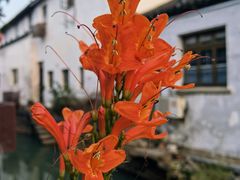 -山塘街