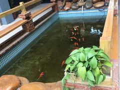 -峰少印宴·私房菜·生猛海鲜·地道水乡菜(万江店)