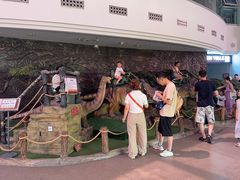 -陕西自然博物馆