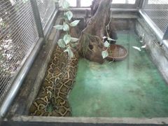 -东芭乐园