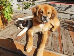 -蟠龙山长城景区