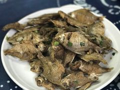 椒盐鳑鲏鱼-长廊好灶头 本地人农家菜(枫泾古镇店)