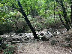-白水冲瀑布