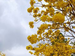 -田园寨农园观光园