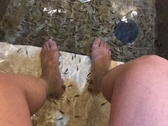 -中家鑫园温泉酒店鑫悦汤泉