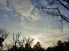 景点-黄兴公园