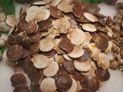 小扇贝-鼎香缘海鲜自助火锅烤肉(锦辉购物广场店)