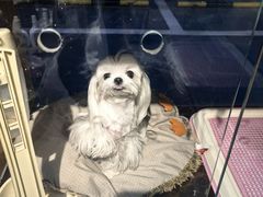 -FAELING PETS美天灵宠物(富力广场店)