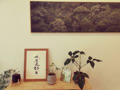 -团子君寿司·茶
