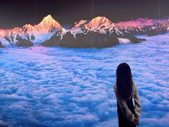 -罗红摄影艺术馆