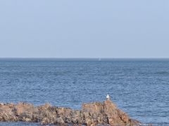 -小麦岛公园