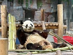 -栾川竹海野生动物园