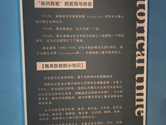 -金钉子远古世界景区