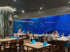 -海棠湾洲际-涛·海底餐厅·美人鱼·自助餐·海底隧道