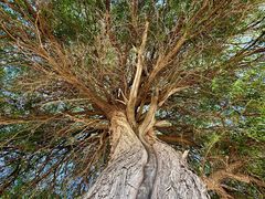 -亿利库布其七星湖沙漠生态旅游区