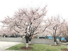 -龙美术馆(西岸馆)