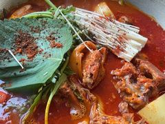土豆排骨火锅（辣）-喇喇排骨火锅·传统韩式脊骨汤(望京西园总店)