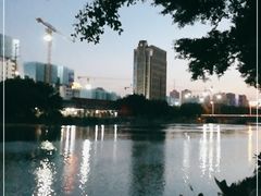 -光明港公园