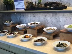 -嘉定凯悦·咖啡厅