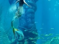 -哈尔滨波塞冬海底世界