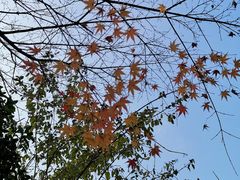 -上海市龙华烈士陵园