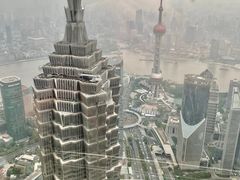 -上海柏悦酒店·世纪100牛排馆