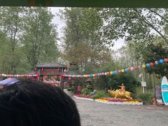 -合肥滨湖国家森林公园