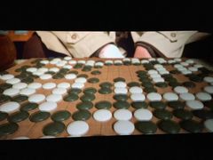 -智韵素养黎明练字(莘庄校区)