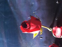 -音乐房子·Vintage Live Bar(玉林总店)