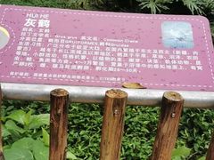 -深圳野生动物园