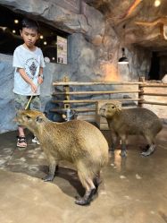 -Zoolung Zoolung动物主题公园(海信广场店)