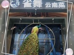 门面-雀舞云南菜(乐客城店)