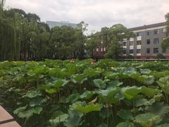 -四川大学(望江校区)