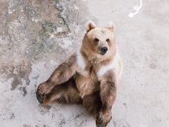 -哈尔滨北方森林动物园