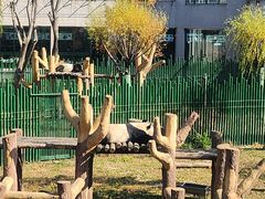 -沈阳森林动物园