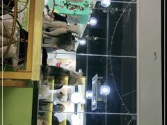 -Husky Go! 哈士奇体验馆·宠物咖啡厅狗咖