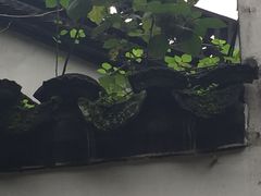 -杭州黄龙洞