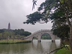 -顺峰山公园
