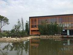 田园东方-田园东方蜜桃村的田野营地