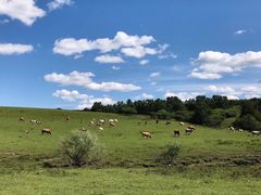 -塞罕坝国家级自然保护区