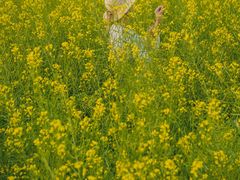 -光明小镇欢乐田园