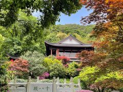 -十八棵（老龙井）御茶园(老龙井店)