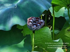 -四川大学(华西校区)