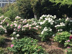 -江南大学(蠡湖校区)