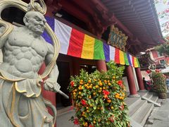 -新加坡佛牙寺龙华院