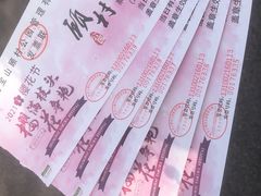 -顾村公园