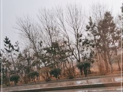 -威海大水泊国际机场