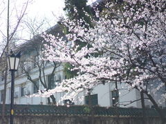 -鸡鸣寺