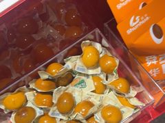 -舜华临武鸭(岳阳东站)