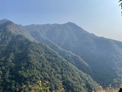 -东天目山风景区